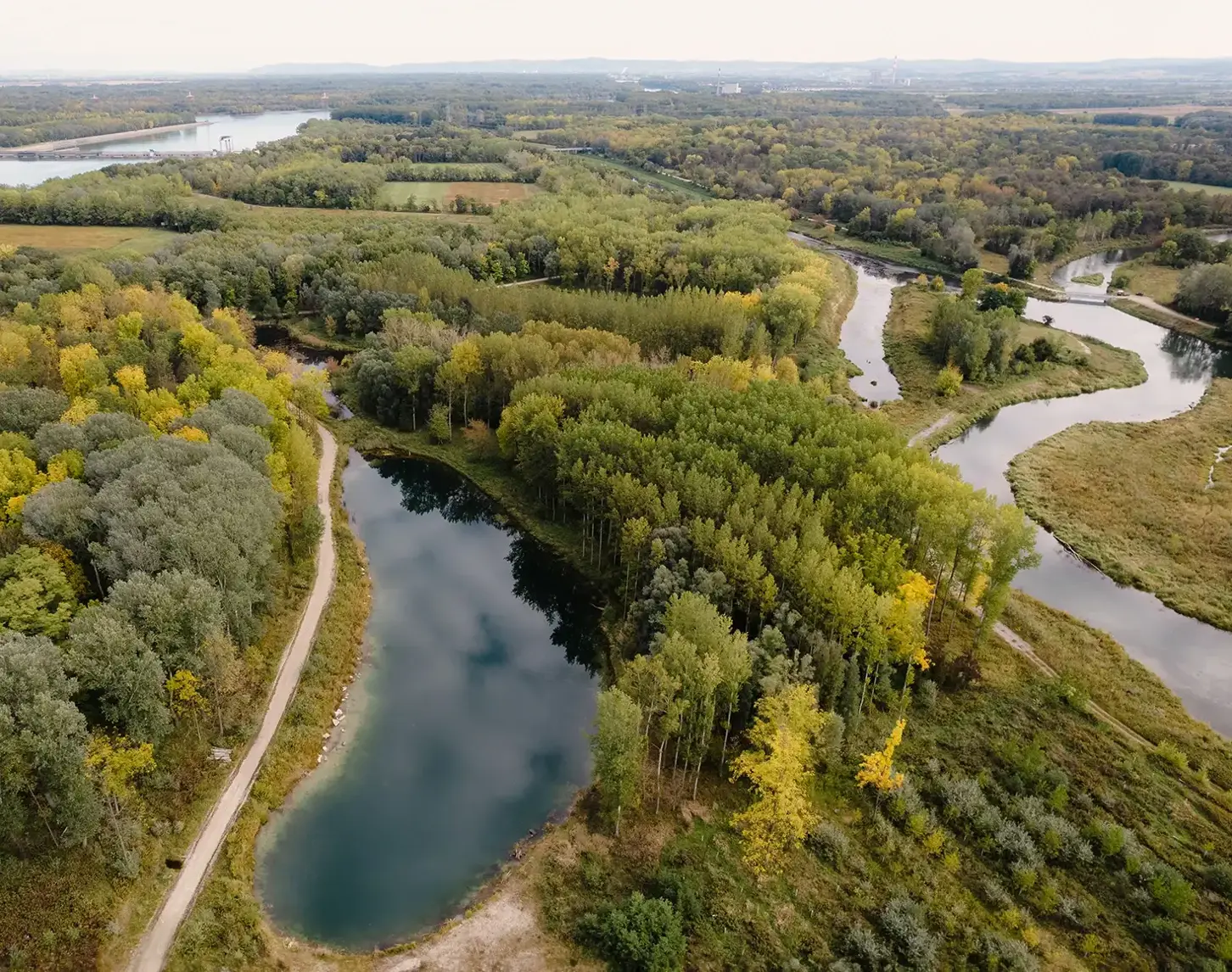 Die neue Traisen: ein Blick von oben auf die Aulandschaft. Man sieht einen Auweiher in dem sich die Wolken spiegeln, ein Wäldchen und die Traisen, wie sie sich durch die Landschaft mäandert.